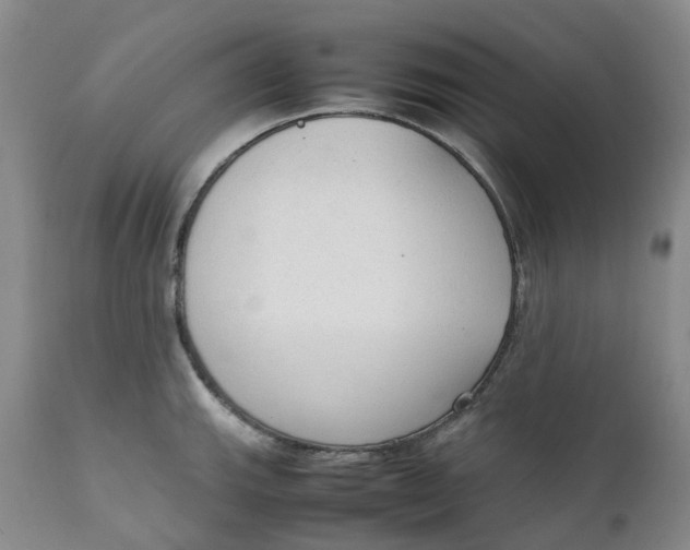 X0000111251143200907161400