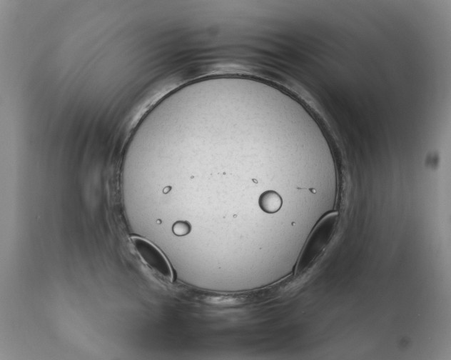 X0000111251145200907161400