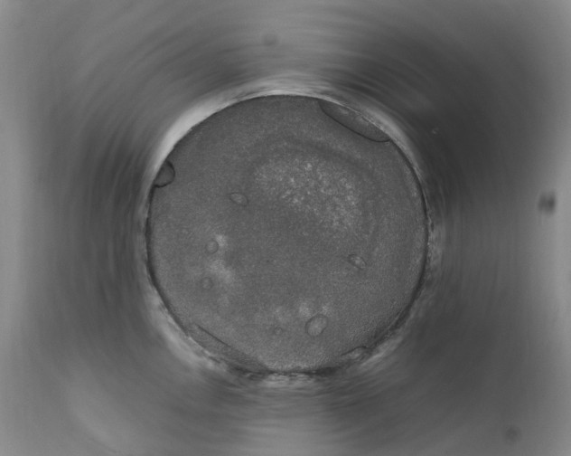 X0000111251146200907161400