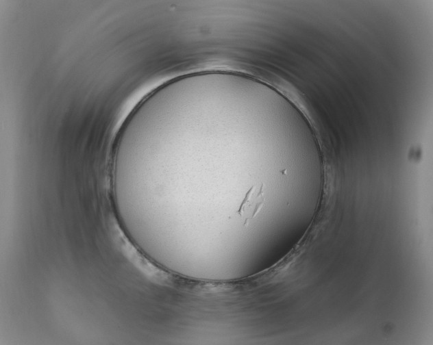 X0000111251148200907161400