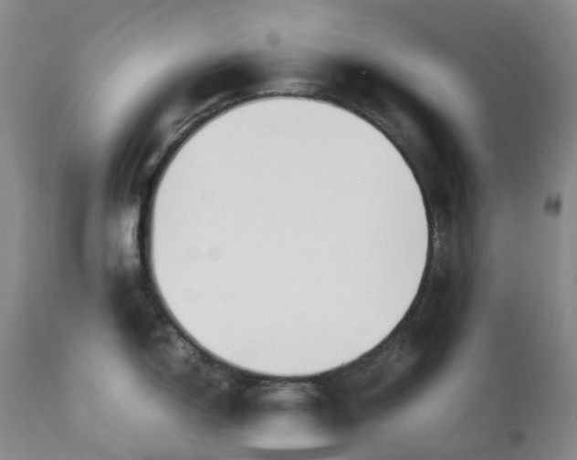 X0000111251150200907161400