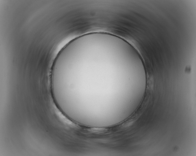 X0000111251151200907161400