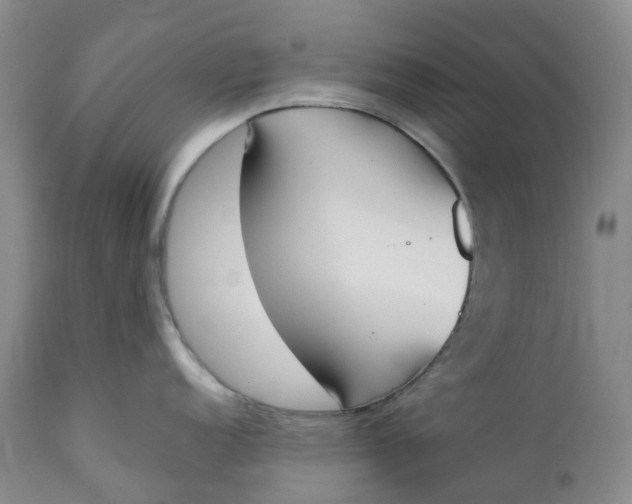 X0000111251152200907161400