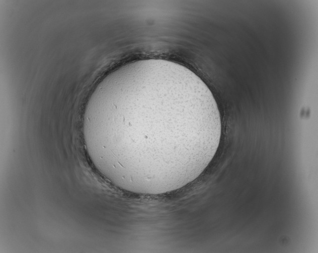 X0000111251153200907161359