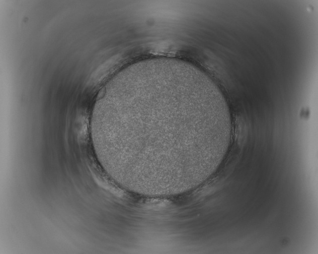 X0000111251154200907161359