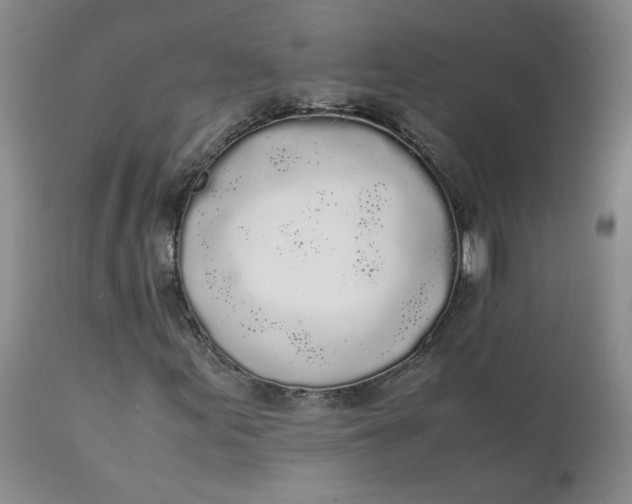 X0000111251155200907161359