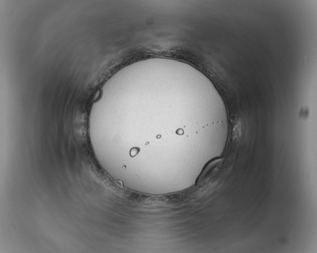 X0000111251156200907161359