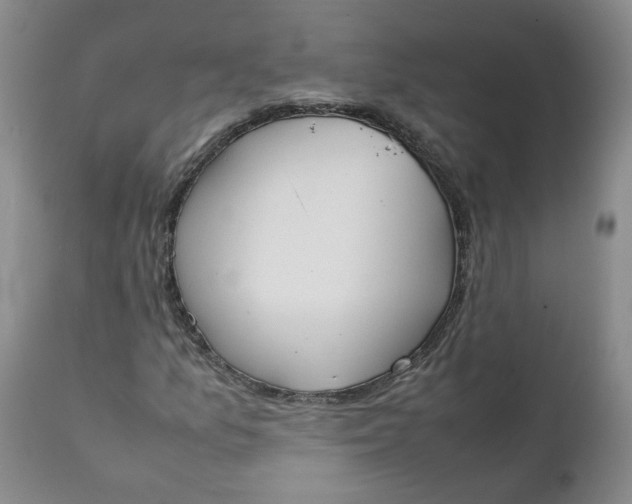 X0000111251157200907161359