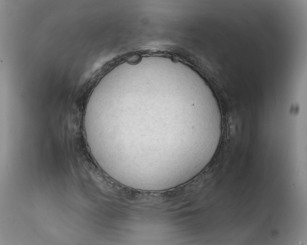 X0000111251158200907161359