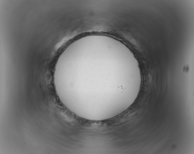 X0000111251160200907161359