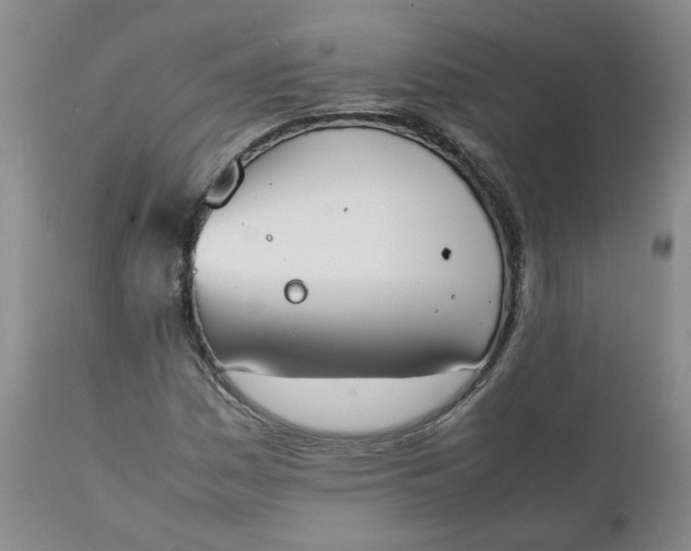 X0000111251161200907161359