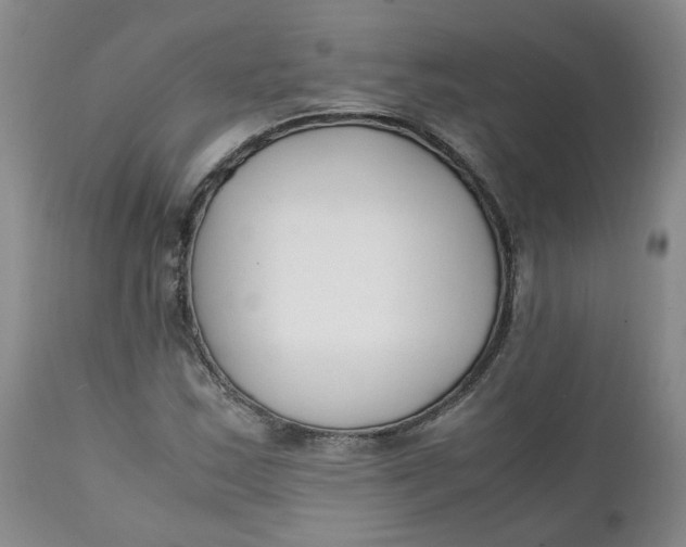 X0000111251163200907161359