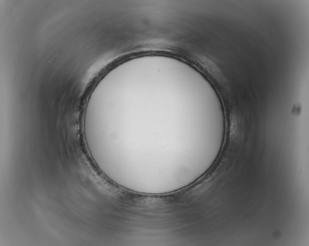 X0000111251164200907161359