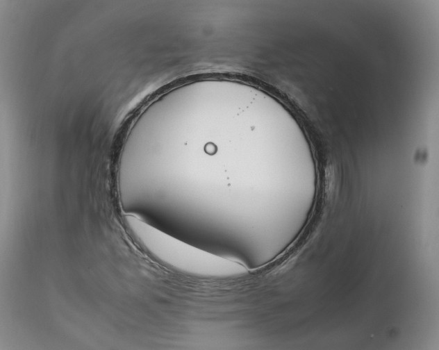 X0000111251165200907161359