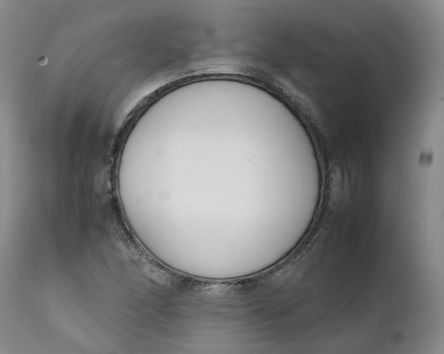 X0000111251166200907161359