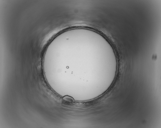 X0000111251167200907161359