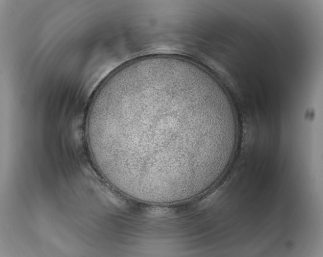 X0000111251170200907161359