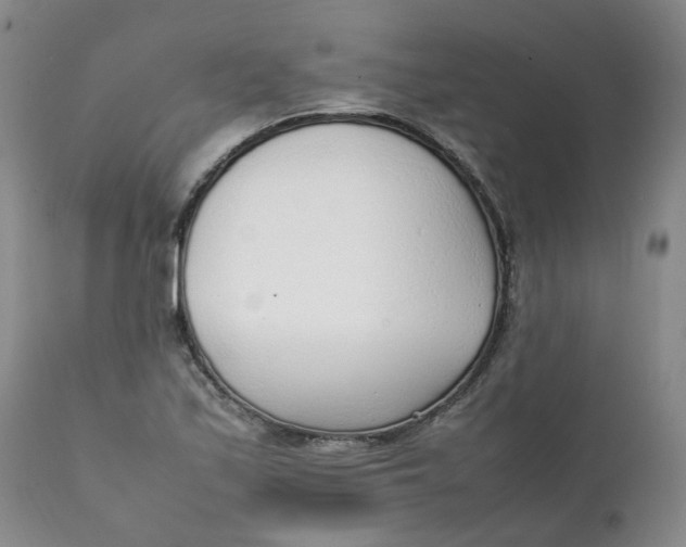 X0000111251171200907161359