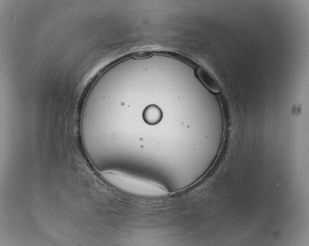 X0000111251173200907161359