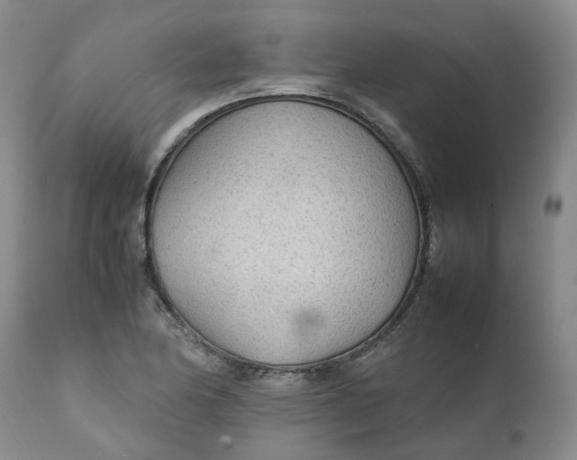 X0000111251174200907161359