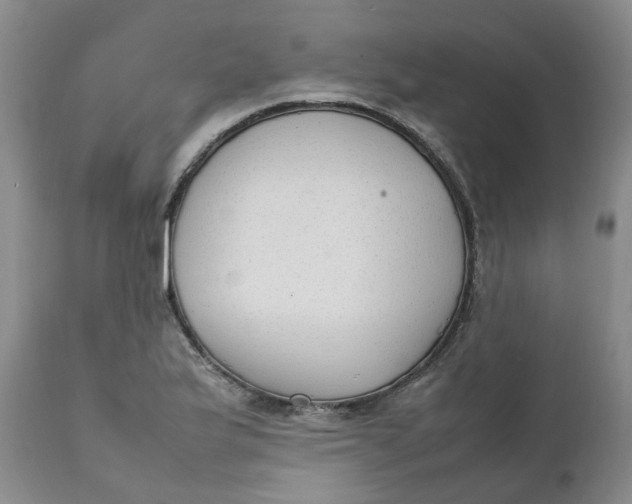 X0000111251175200907161359