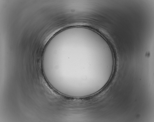 X0000111251177200907161359