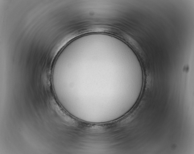 X0000111251178200907161359