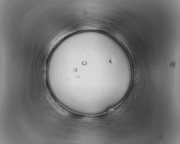 X0000111251179200907161359