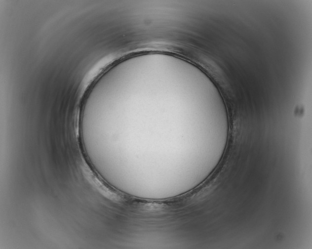 X0000111251180200907161359