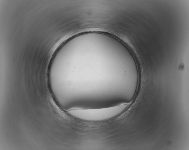 X0000111251181200907161359