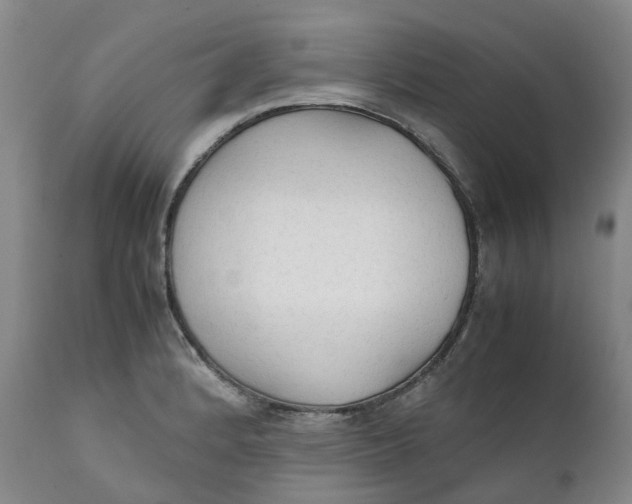 X0000111251184200907161359