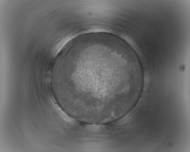 X0000111251185200907161359