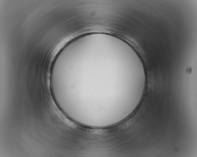 X0000111251188200907161359