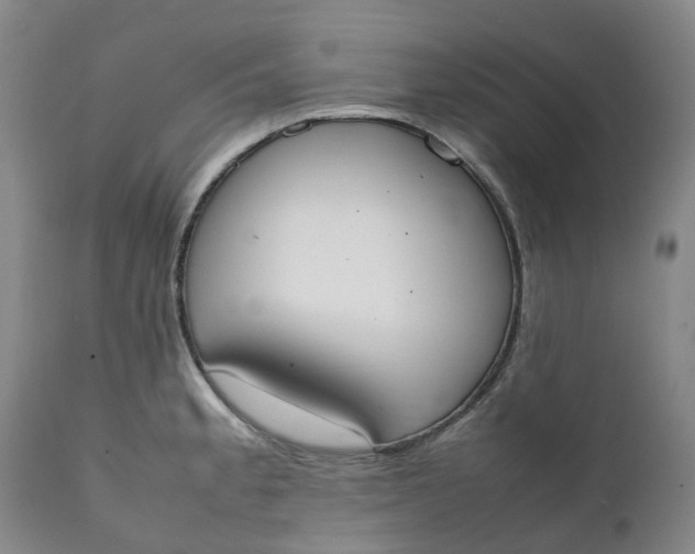 X0000111251189200907161358