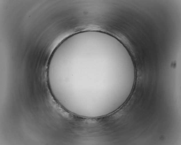 X0000111251190200907161358