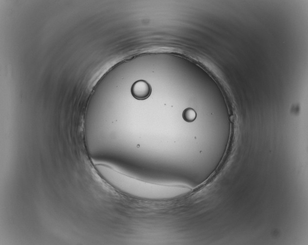 X0000111251193200907161358