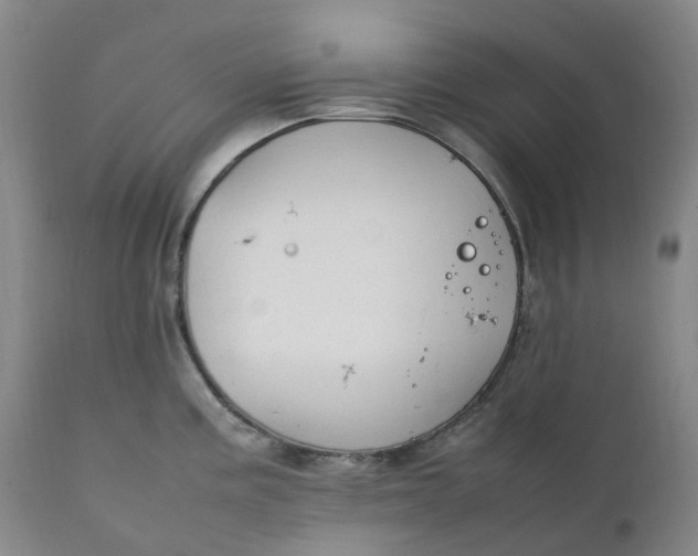 X0000111251195200907161358