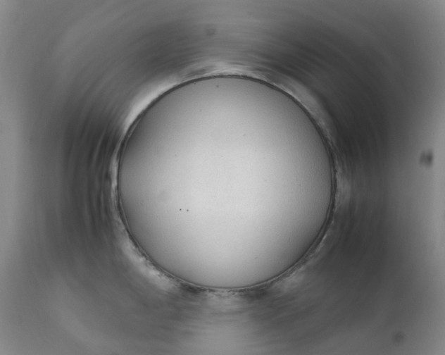 X0000111251198200907161358