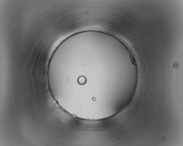 X0000111251200200907161358