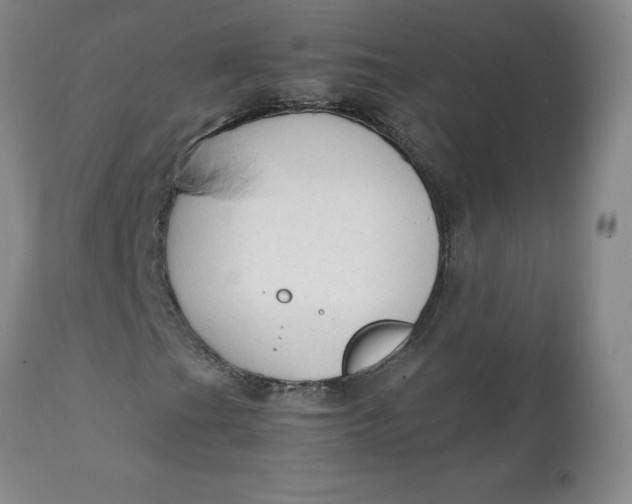 X0000111251201200907161358