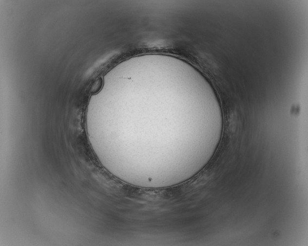 X0000111251205200907161358