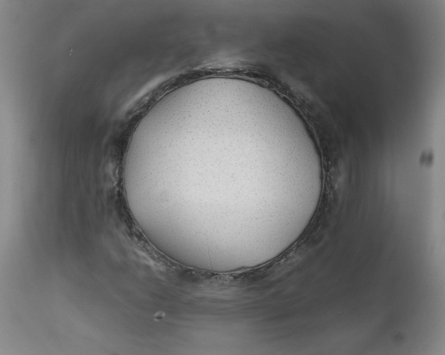 X0000111251206200907161358