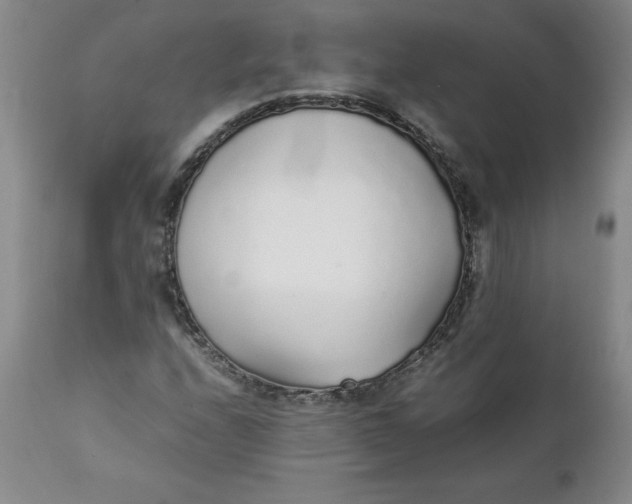 X0000111251208200907161358