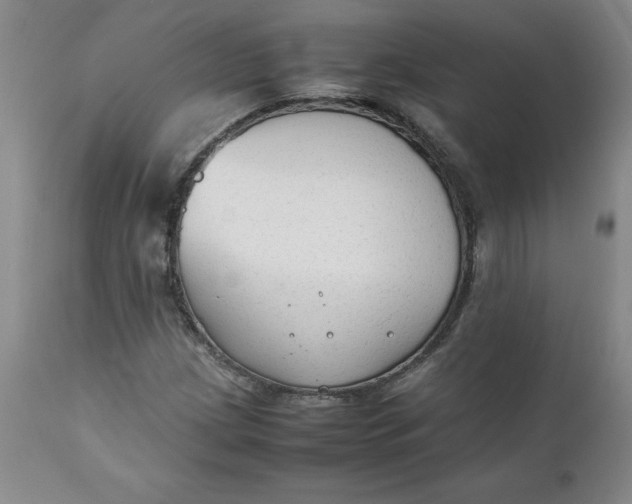 X0000111251209200907161358