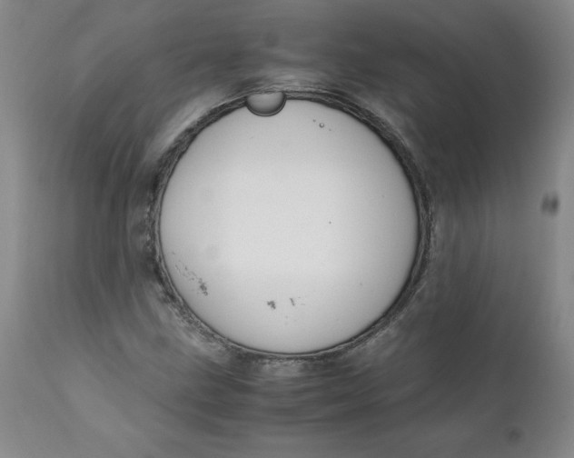 X0000111251211200907161358