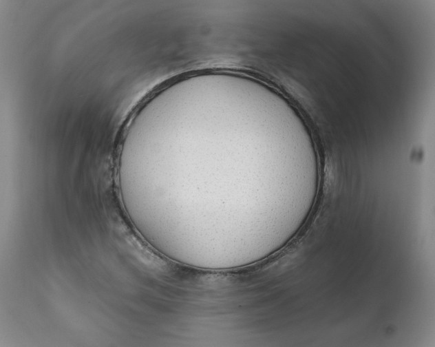 X0000111251212200907161358