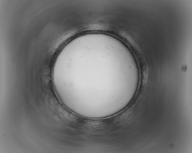 X0000111251213200907161358