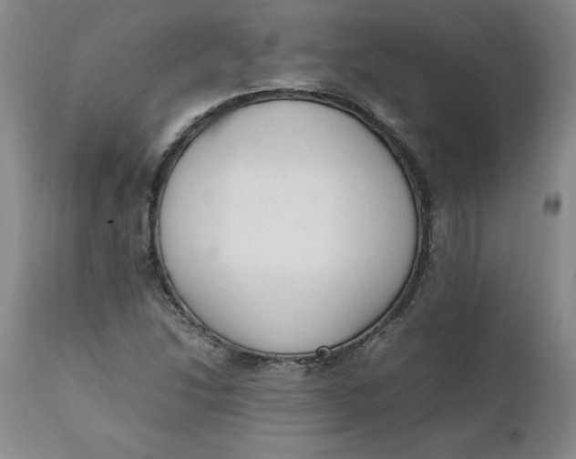 X0000111251214200907161358