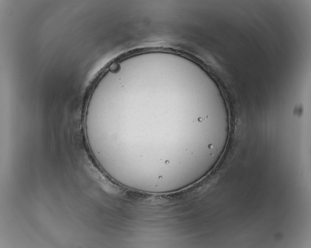 X0000111251216200907161358