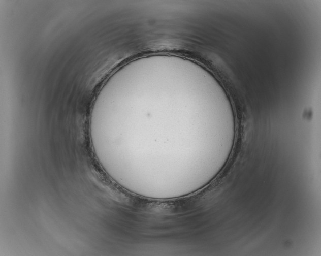 X0000111251217200907161358